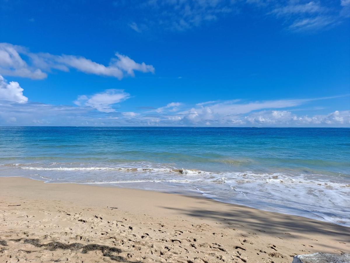 Cozybeach Large 1Bdrapt 50 Steps From Atlantic Ocean Private Street Between Ocean Park & Isla Verde 5 Mins From Airport San Juan Dış mekan fotoğraf
